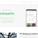 ekakarya web